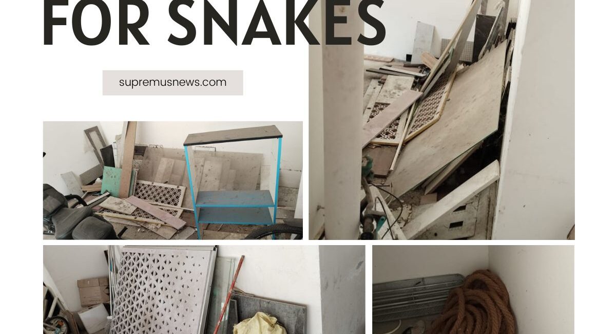 Is Casagrand Supremus Turning Into a Dump Yard and Home for Rats and Snakes